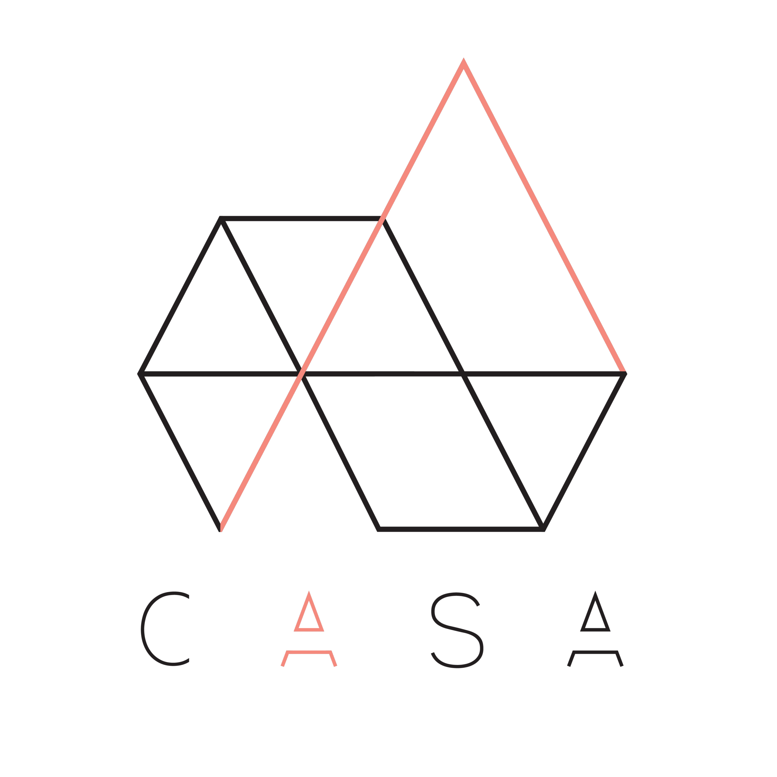 Casa Group Logo